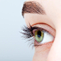 eyelash: 2 thousand results found on Yandex.Images