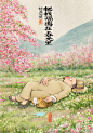 姑苏阿焦