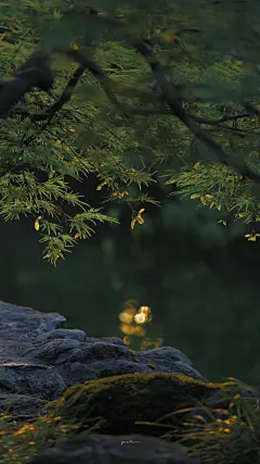 清新bot的照片 - 微相册
