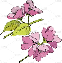 粉色,花朵,绿色,壁纸,植物群,春天,乡村风格,花,剪影