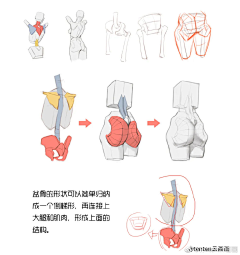 小火炉5号采集到人体拆解