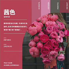 wl-标爷爷采集到背景