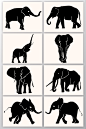 动物大象剪影插画设计矢量素材