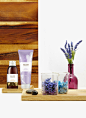 Hilltop Gardens Personal Care : Hilltop Gardens Personal Care