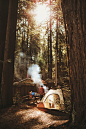 Camping in Redwoods