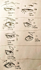 (156) Pinterest