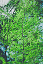 (2) Tumblr