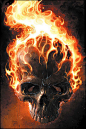 skull fire flame fury picture and wallpaper