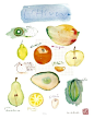 法国水彩画家Lucile Prache食物的水彩画 — 人人小站