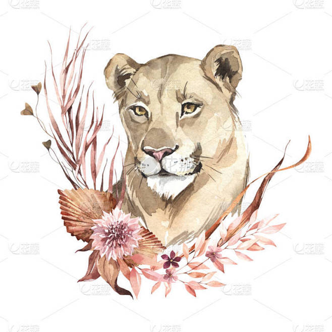 水彩画的母狮与花朵。非洲的小动物。世界动物园的儿童用品自然图解.世界动植物群。手绘野猫头及干花束印.