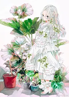 01.绿萝 02.龟背竹 ​​​​