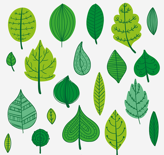 19款绿色树叶设计矢量图.jpg