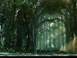 超大尺寸-森林隧道动漫游戏场景高清壁纸素材艺术设计图片素材