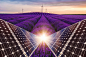 Solar-panel,-photovoltaic,-alternative-electricity-source-(14)