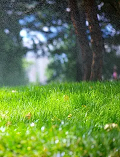 风景_壁纸_晨曦_草地-心图集-图喔喔(mytuoo.com)