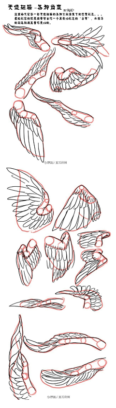 南末i采集到绘画