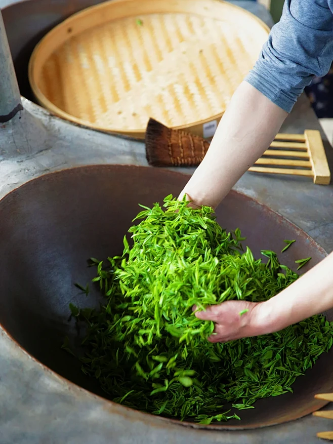 制茶的方法是什么 茶叶的制作过程-花瓣网