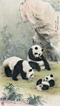 王申勇动物工笔画作品欣赏-今日头条