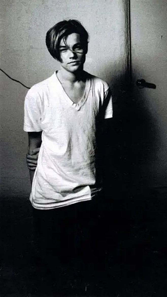 小李子壁纸