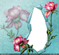 玫瑰花花朵相框背景设计图片
