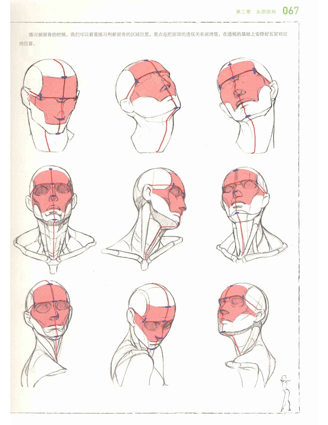 人体结构原理与绘画教学_67.jpg