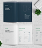 Brand Manual : Professional Brand Manual and Identity Brochure template for creative businesses, created in Adobe InDesign in International DIN A4 and US Letter format.