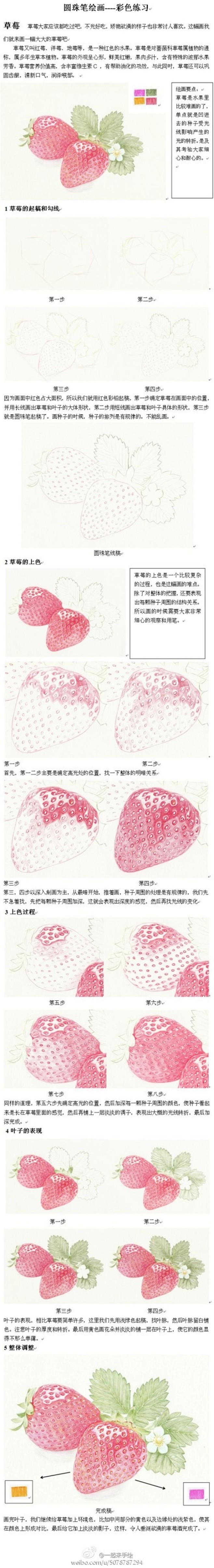 绘画工具：多色圆珠笔。草莓的画法。（作者...