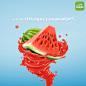 SOCIAL MEDIA "WATERMELON"