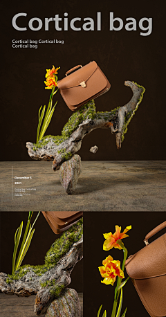 Spiri--t采集到C4D