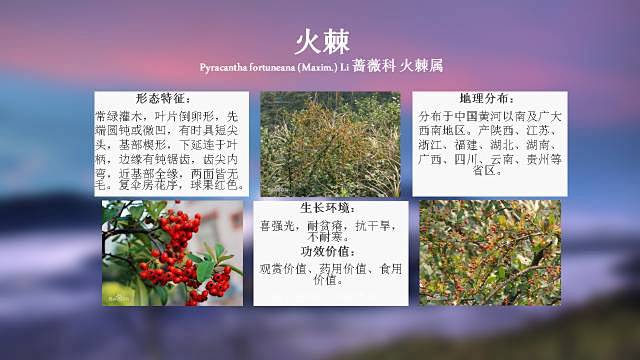 100种 · 常用园林植物，图文并茂 :...