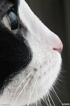 仰望的眼眸暗藏着忧愁
