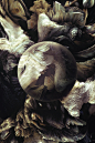 Orbs : Matter, atoms, generative bodies, elements and seeds; And first beginnnings since it is from these that all proceeds.Lucretius – The Nature of Things