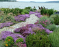 Outdoor Design Ideas, Pictures, Remodel & Decor