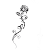 草绘的纹身艺术，黑玫瑰