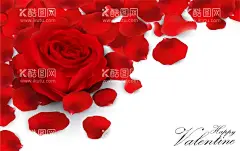 玫瑰花  - 源文件下载【酷图网】玫瑰花,情人节花朵,花卉,七夕节海报,矢量玫瑰花,卡通玫瑰花,手绘玫瑰花,玫瑰花插画,玫瑰花插图,花朵插画,花卉插画,礼物,礼物插画,情人节素材,爱心背景,爱心,矢量爱心,爱心剪影,手绘爱心,爱心插画,立体爱心,曲线背景,情人节,情人节元素,情人节背景,七夕节,七夕节元素,七夕节素材,七夕节背景