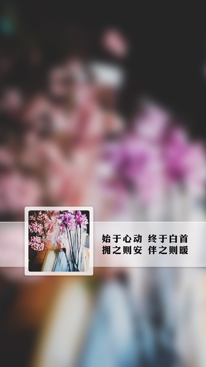 芬芳过往
岁月静好