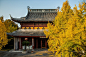 中国古建筑