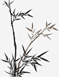 竹林挺拔png免抠素材_新图网 https://ixintu.com 水墨 中国风 黑白 手绘 插画 竹子 竹林 树 水彩 水墨竹林