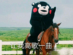 1个迷人的小萝卜头采集到熊本熊（表情包）