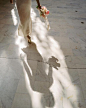 (583) Pinterest