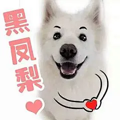 夸人表情包_360图片