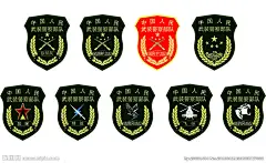 新式武警臂章