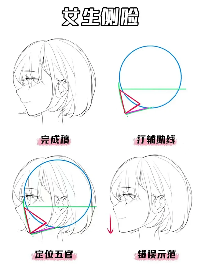 【动漫人物侧脸正确画法】手残党必看