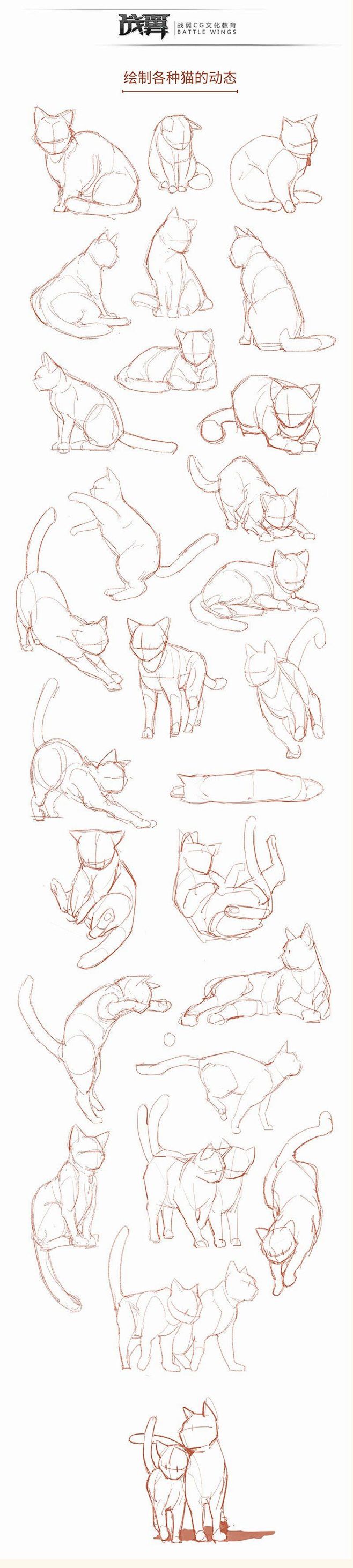 猫 cat 可爱 动物 猫手绘 绘画 猫...