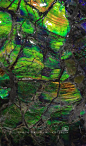 2021.3.3 南京博物院 #晶 · 华——矿物之至善至美# 彩斑螺 产地：加拿大

彩斑螺宝石是只产于加拿大阿尔伯特省固定区域的一种宝石，
是7000万年前的菊石经过高温高压等苛刻条件下所形成的化石
因表面的特殊物理结构，以“结构色”的方式显色，因此颜色极为多彩艳丽。 ​​​​