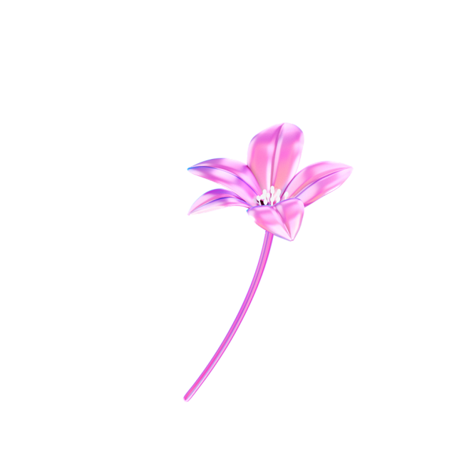 花8