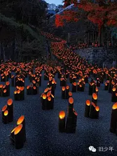 元宵吃完了嘛？
可以打开手机
低头赏灯啦
^^