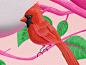 Mian illustration :: Behance