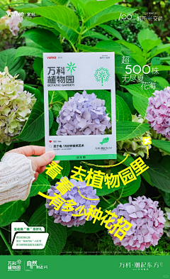 阿樂很忙采集到海报&小红书风