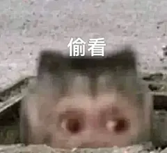 猴子表情包